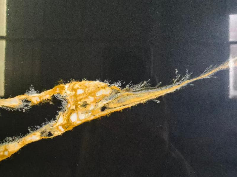 calacatta super black quartz